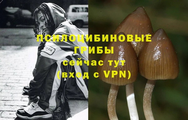 спайс Алексин