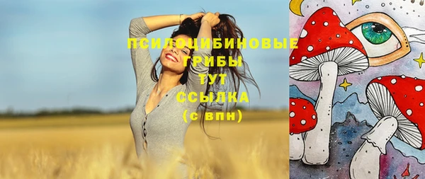 mdpv Алзамай