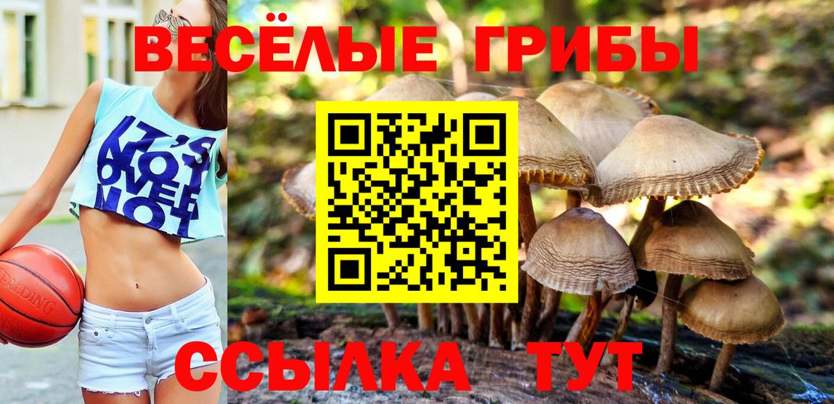 Галлюциногенные грибы Psilocybe  Вход с VPN  Домодедово  Галлюциногенные грибы GOLDEN TEACHER 