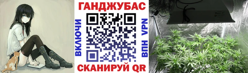 Марихуана ГИДРОПОН  Домодедово 